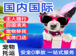 石家庄航空邮寄国际宠物托运 【国